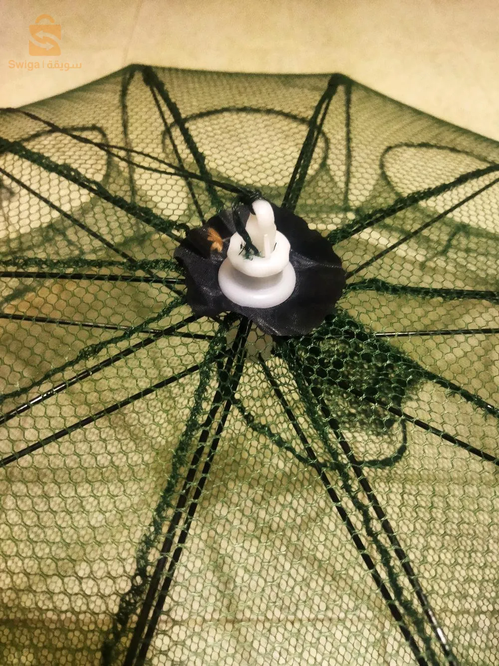 سكيكدة