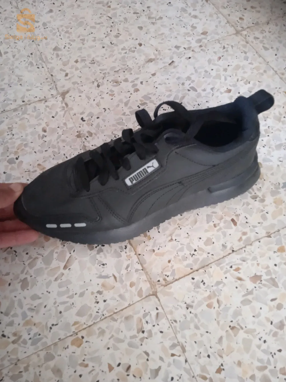 الشولي تلمسان