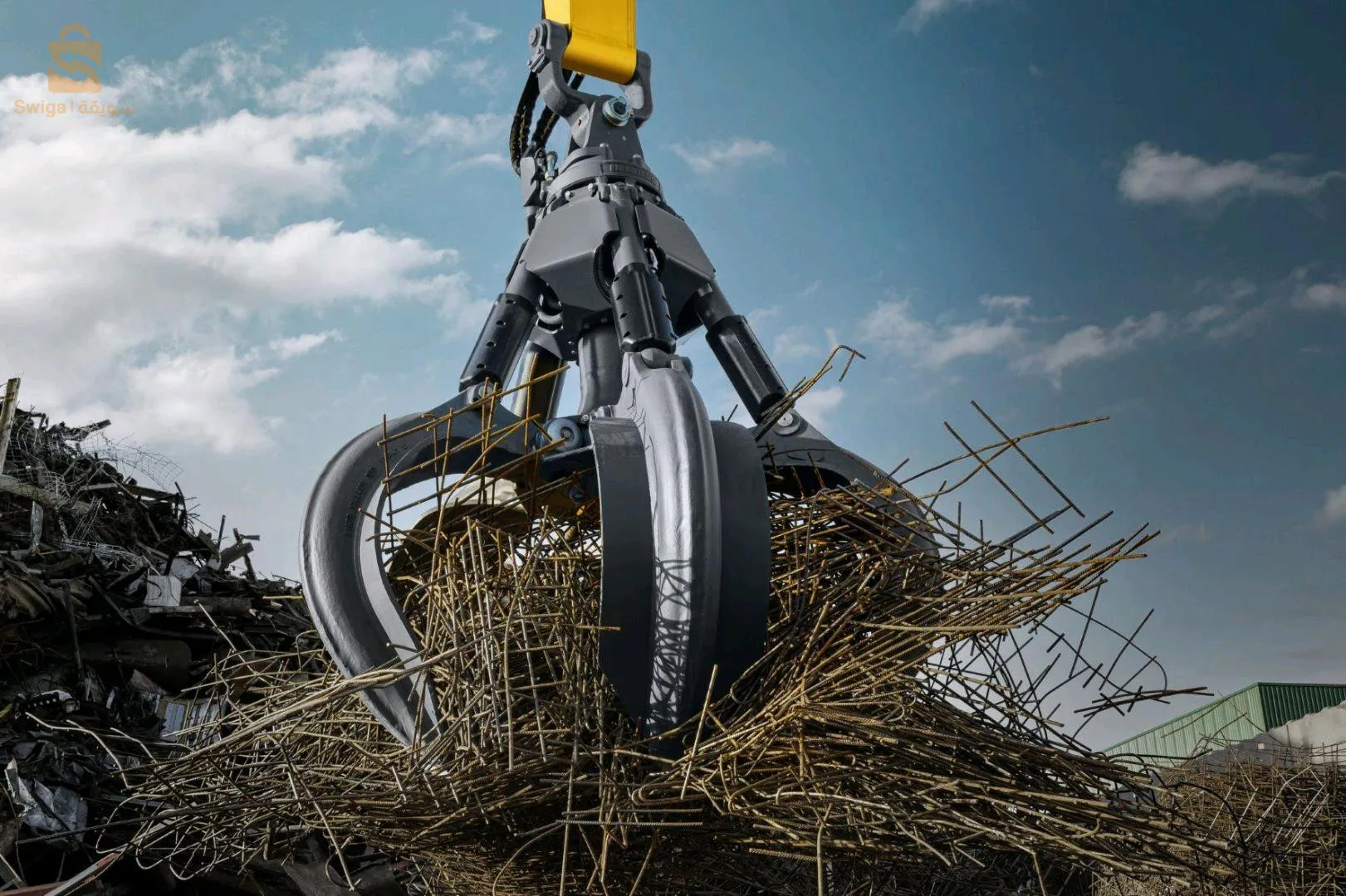 الكاليتوس ولاية الجزائر