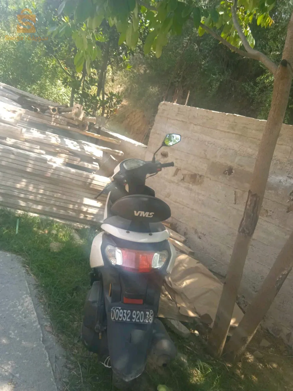 دلس بومرداس