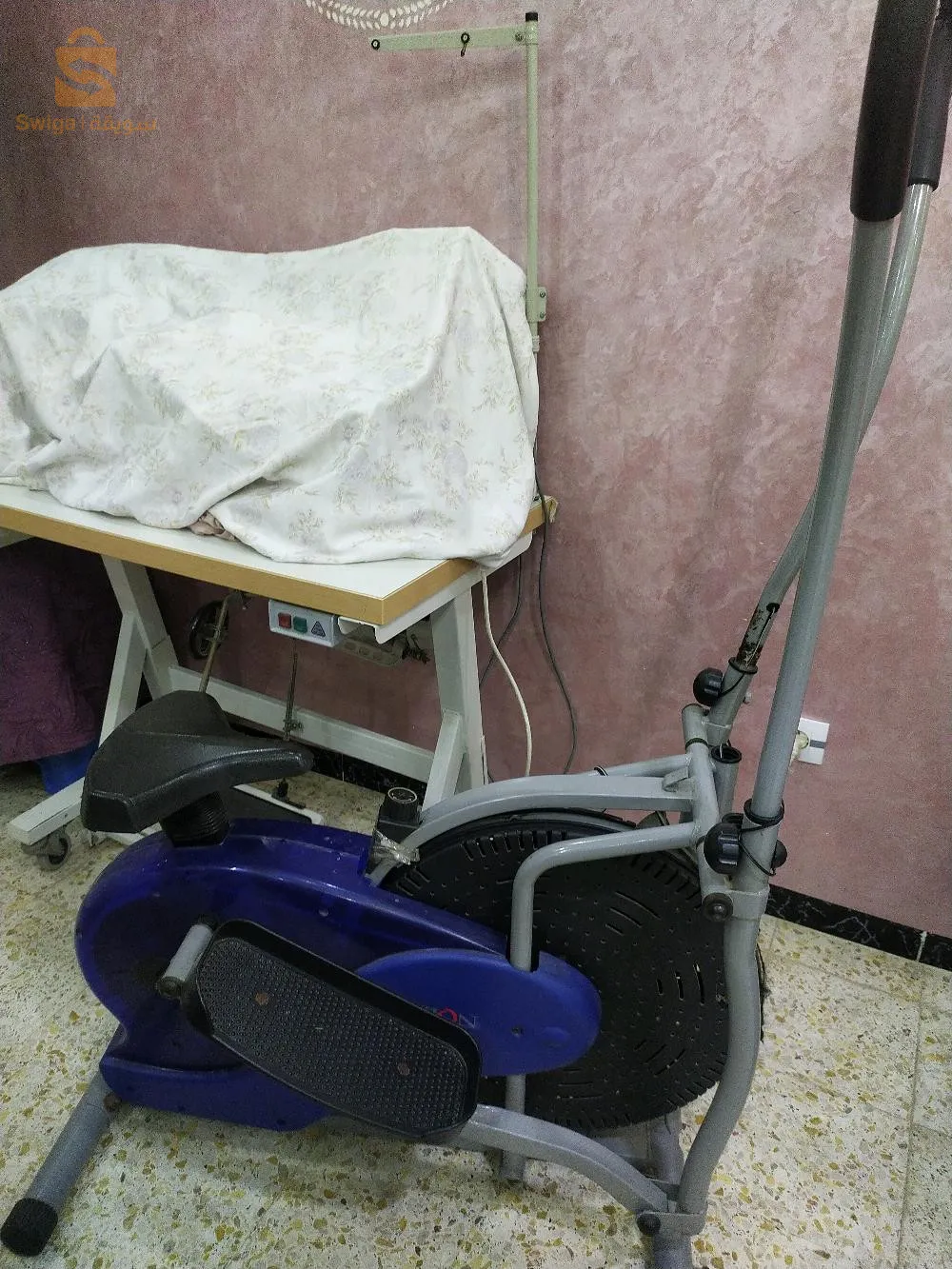 الجزائر