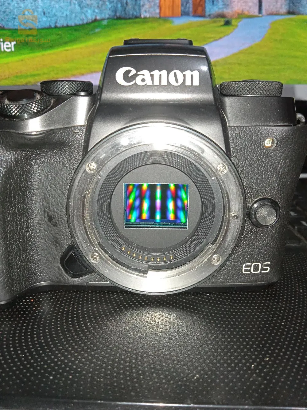 Canon EOS M5