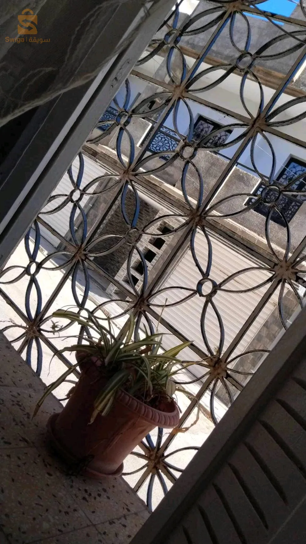 ابوتشغين تلمسان