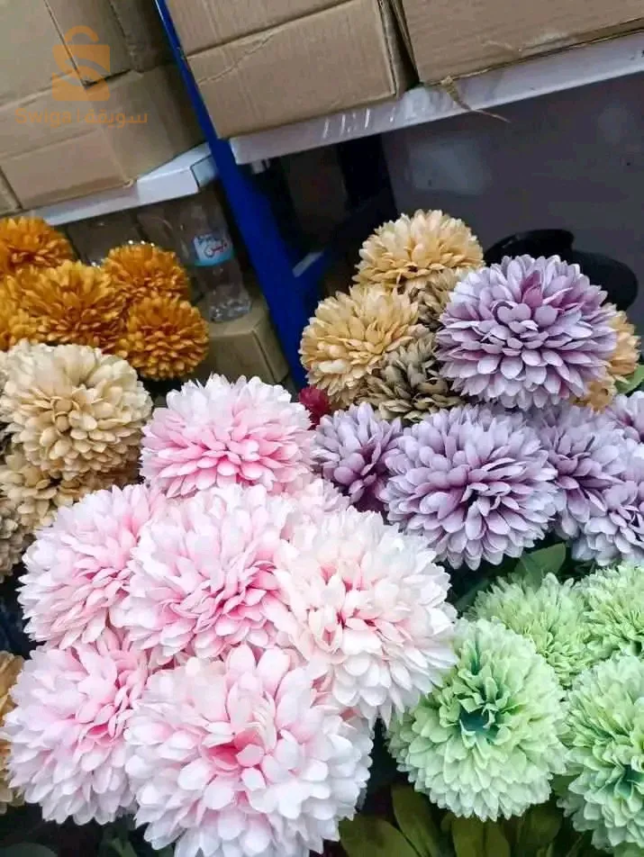 مختلف الورود لديكوراتكم