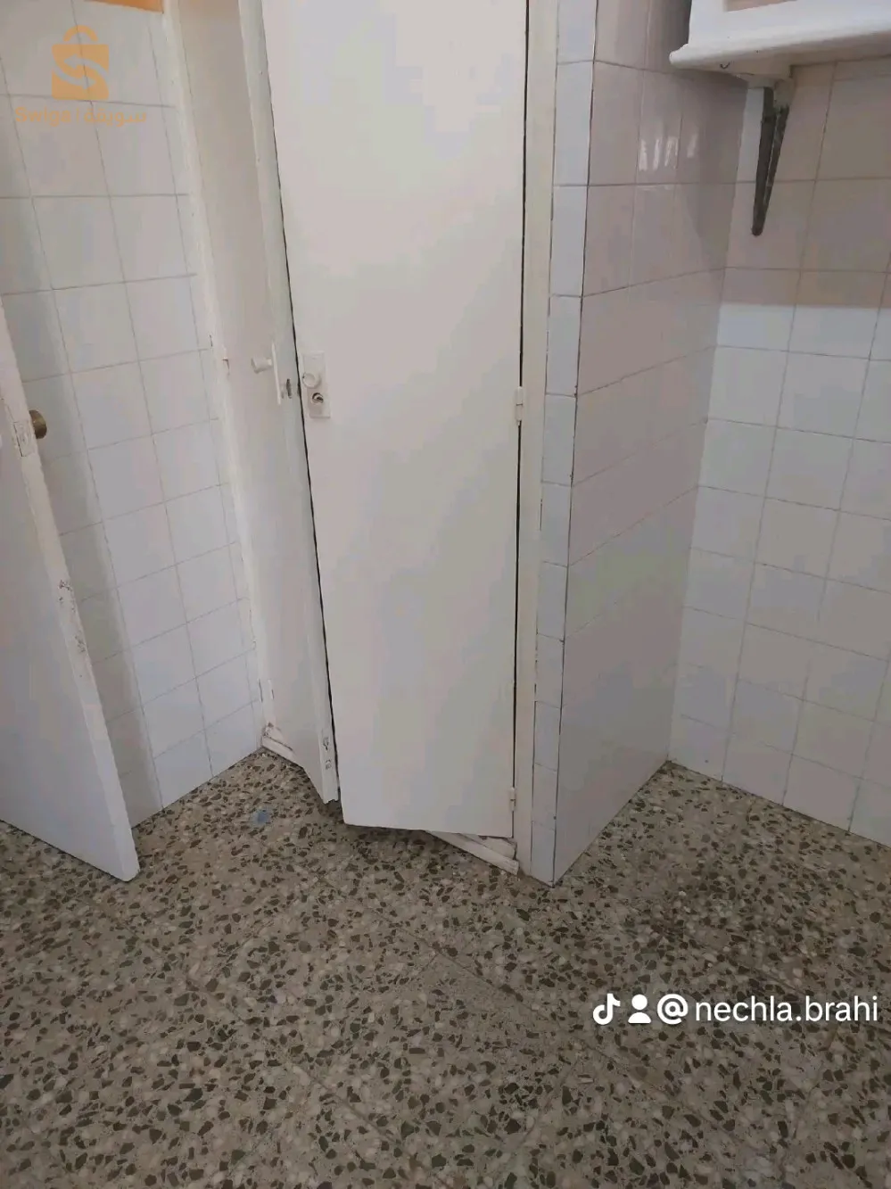 السبنيول