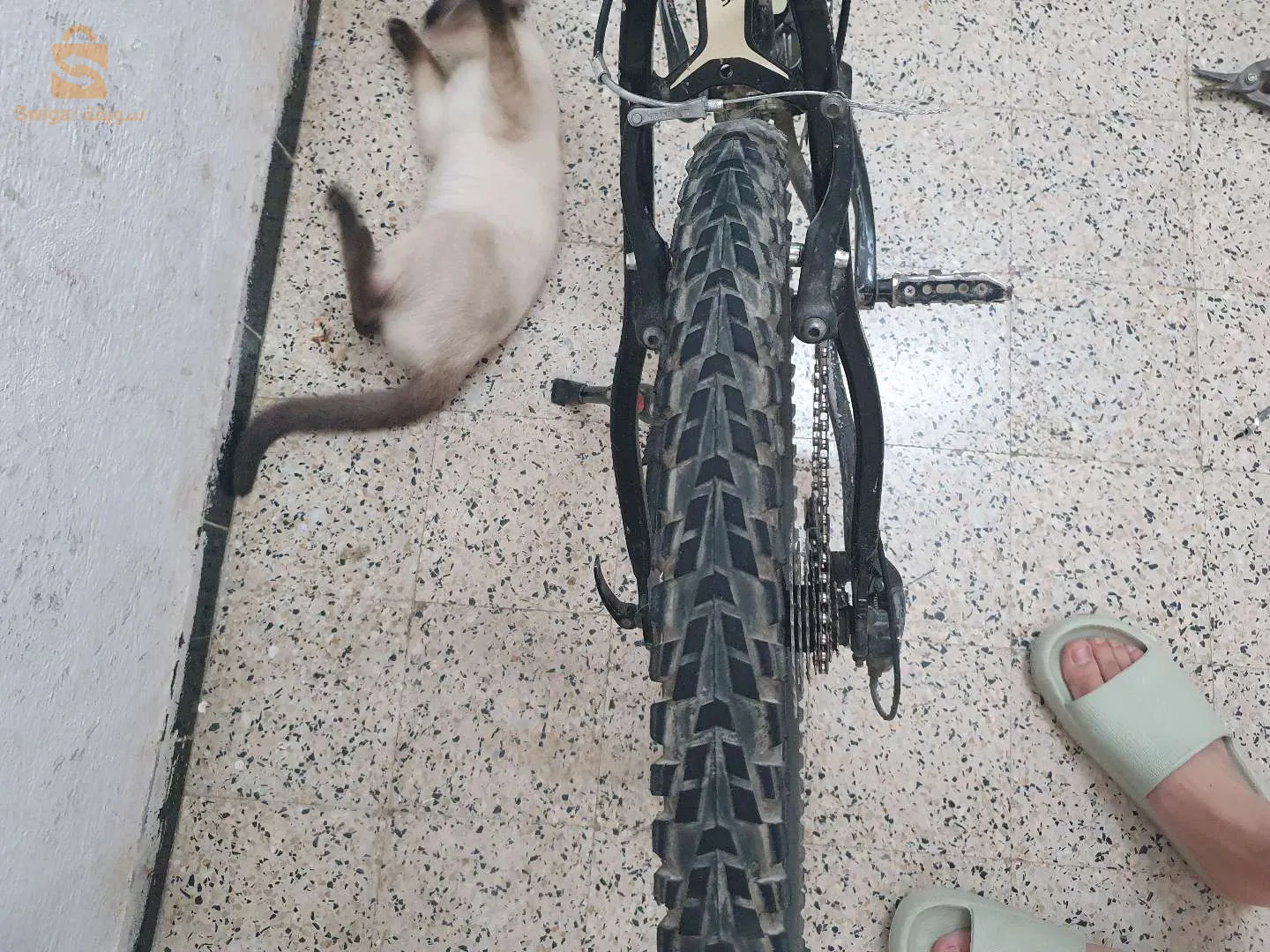 دراجة هوائية