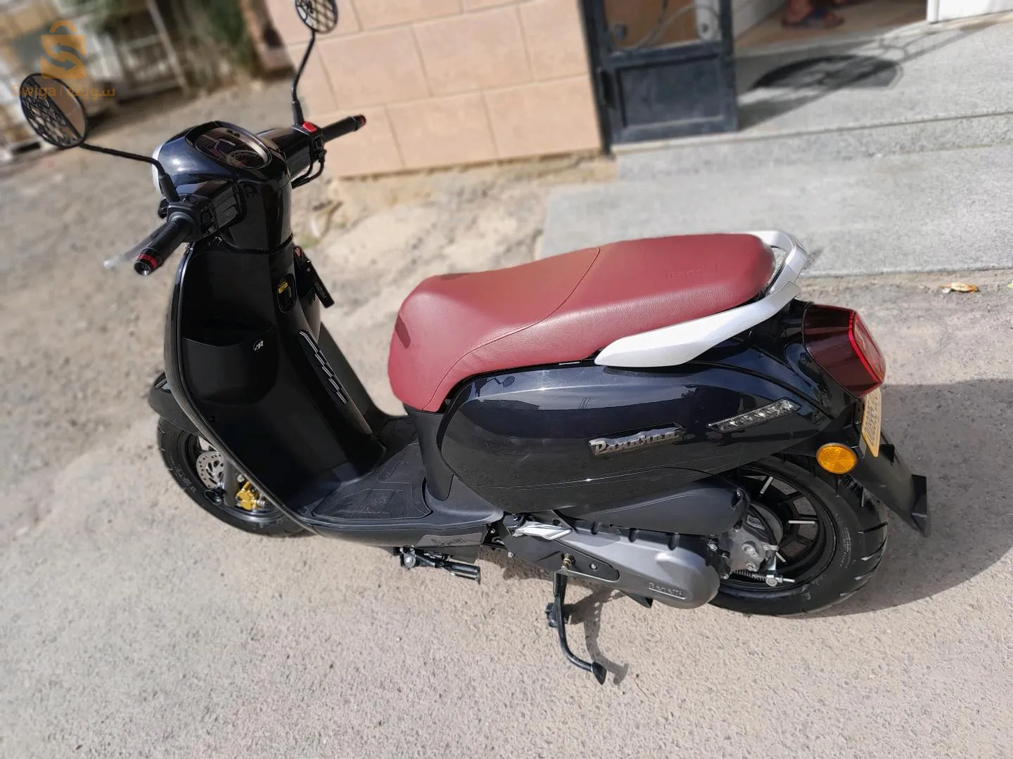panariya 
vms