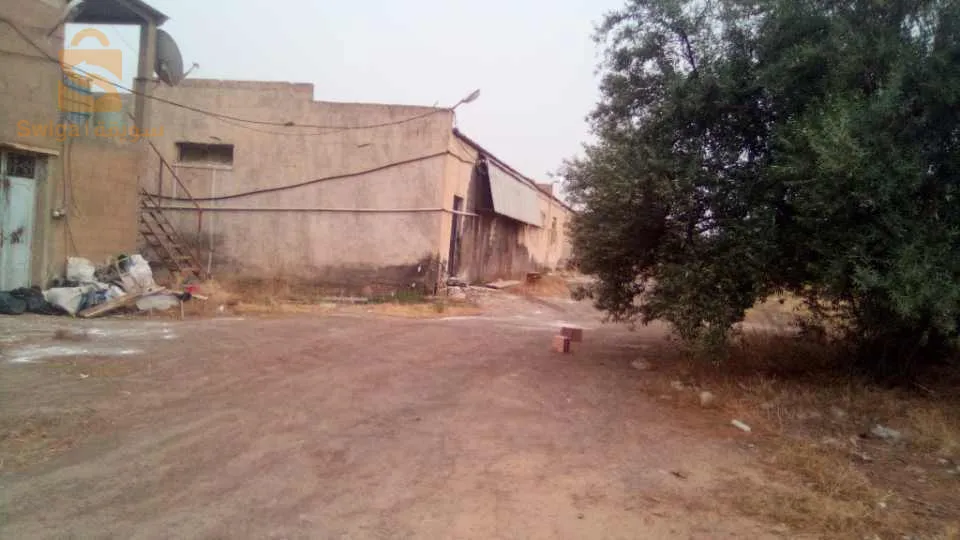 terrain béni mensour 4000m2