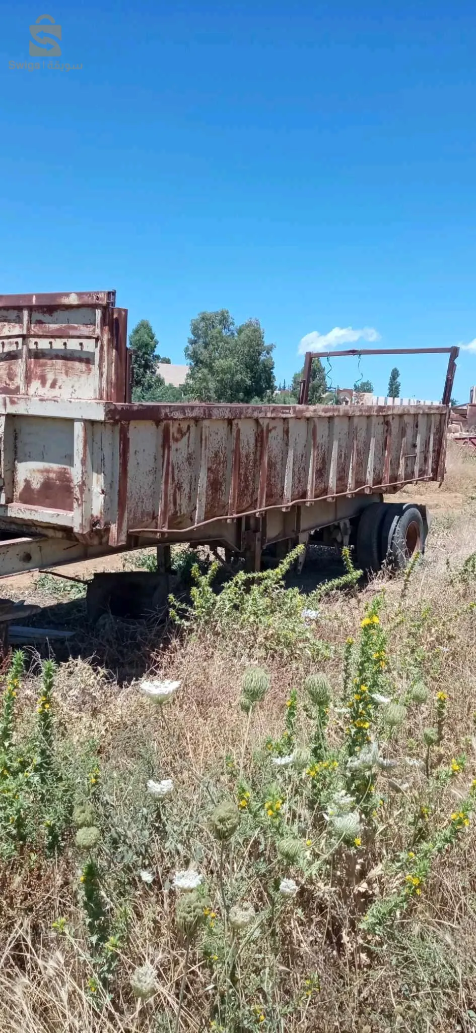 المدية وزرة