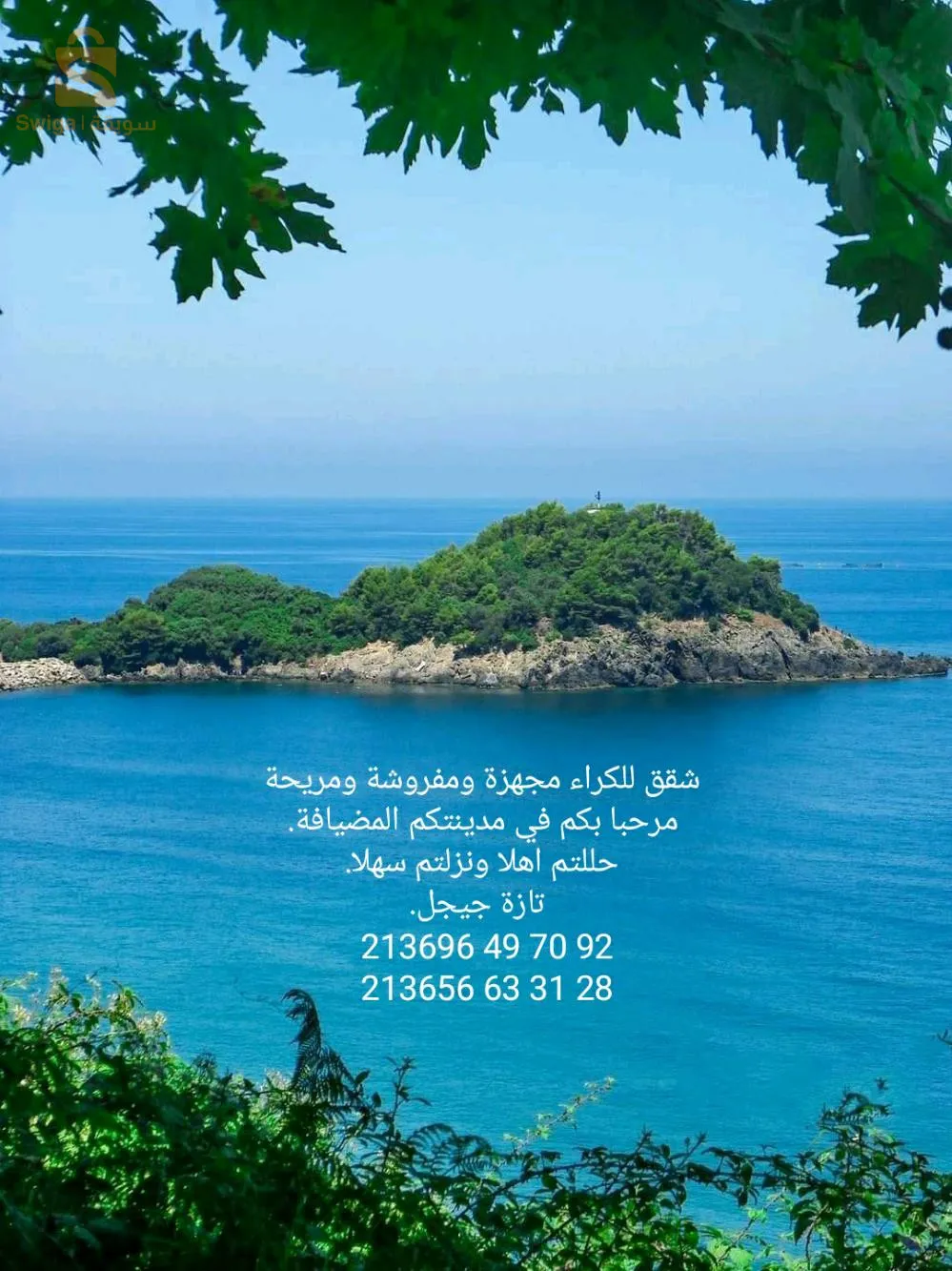 تازة زيامة. منصورية. جيجل. الجزائر