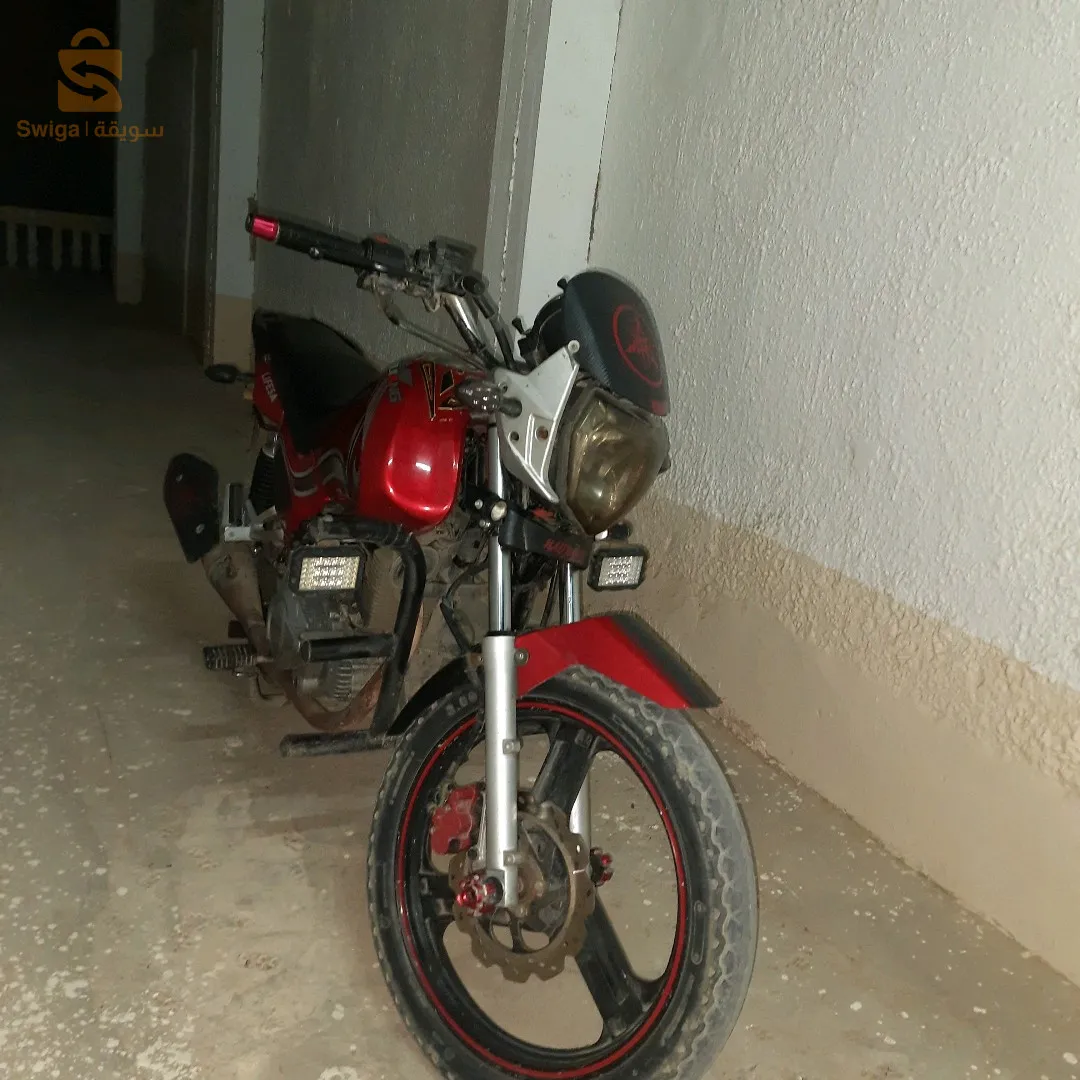 جديد