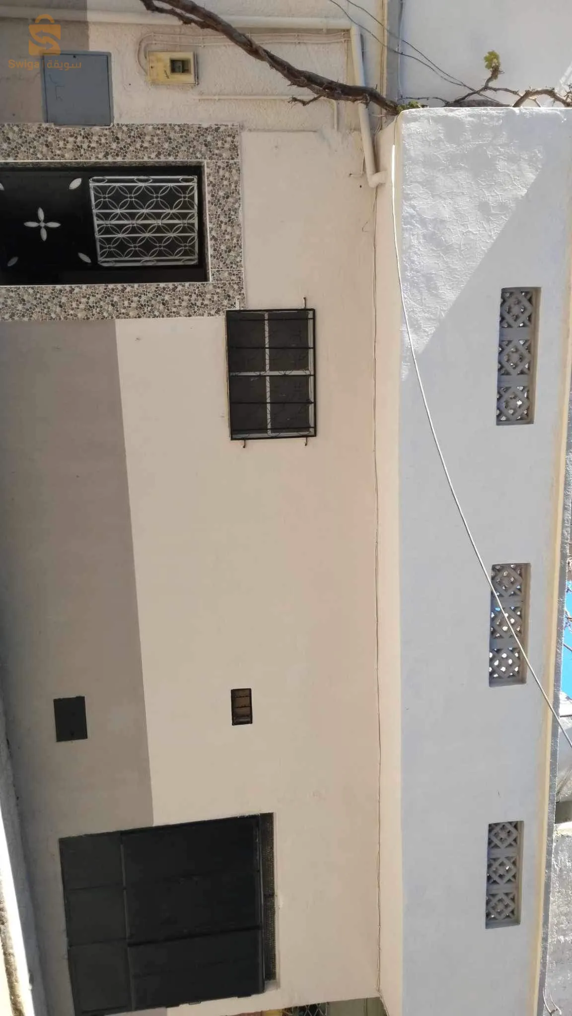 ابوتشغين تلمسان