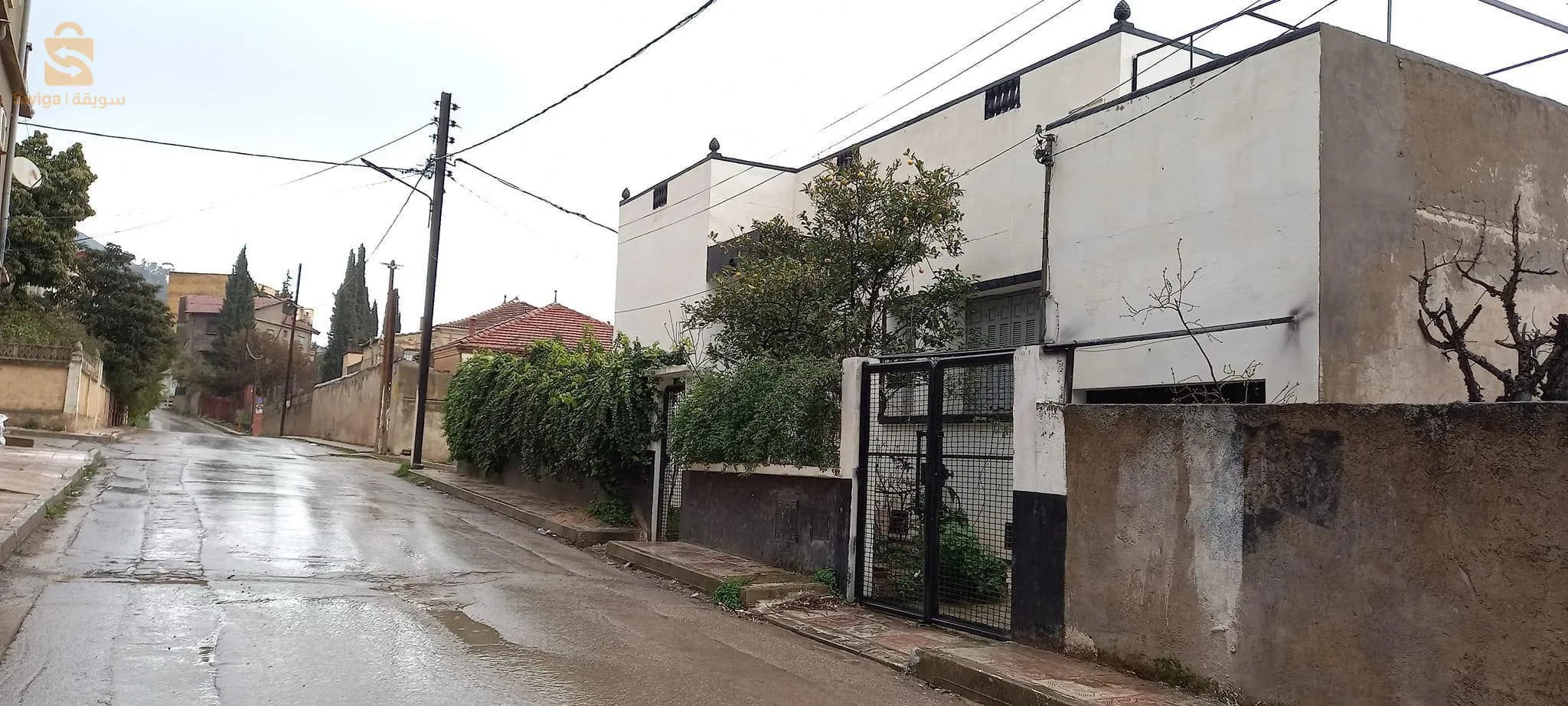 vente maison Miliana