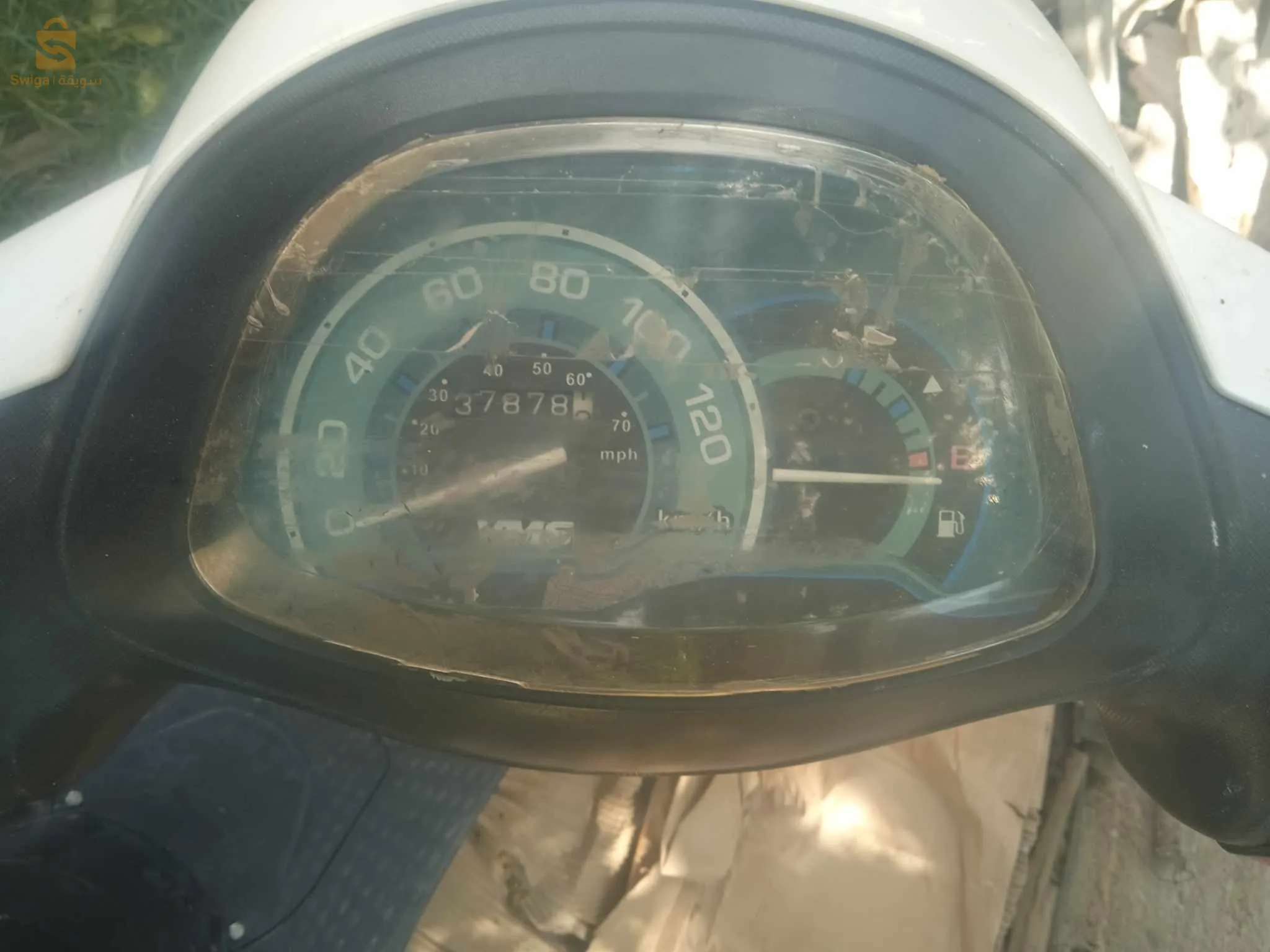 دلس بومرداس