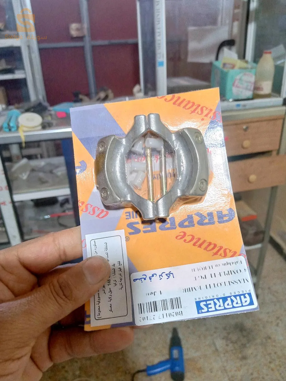 جديوية غليزان