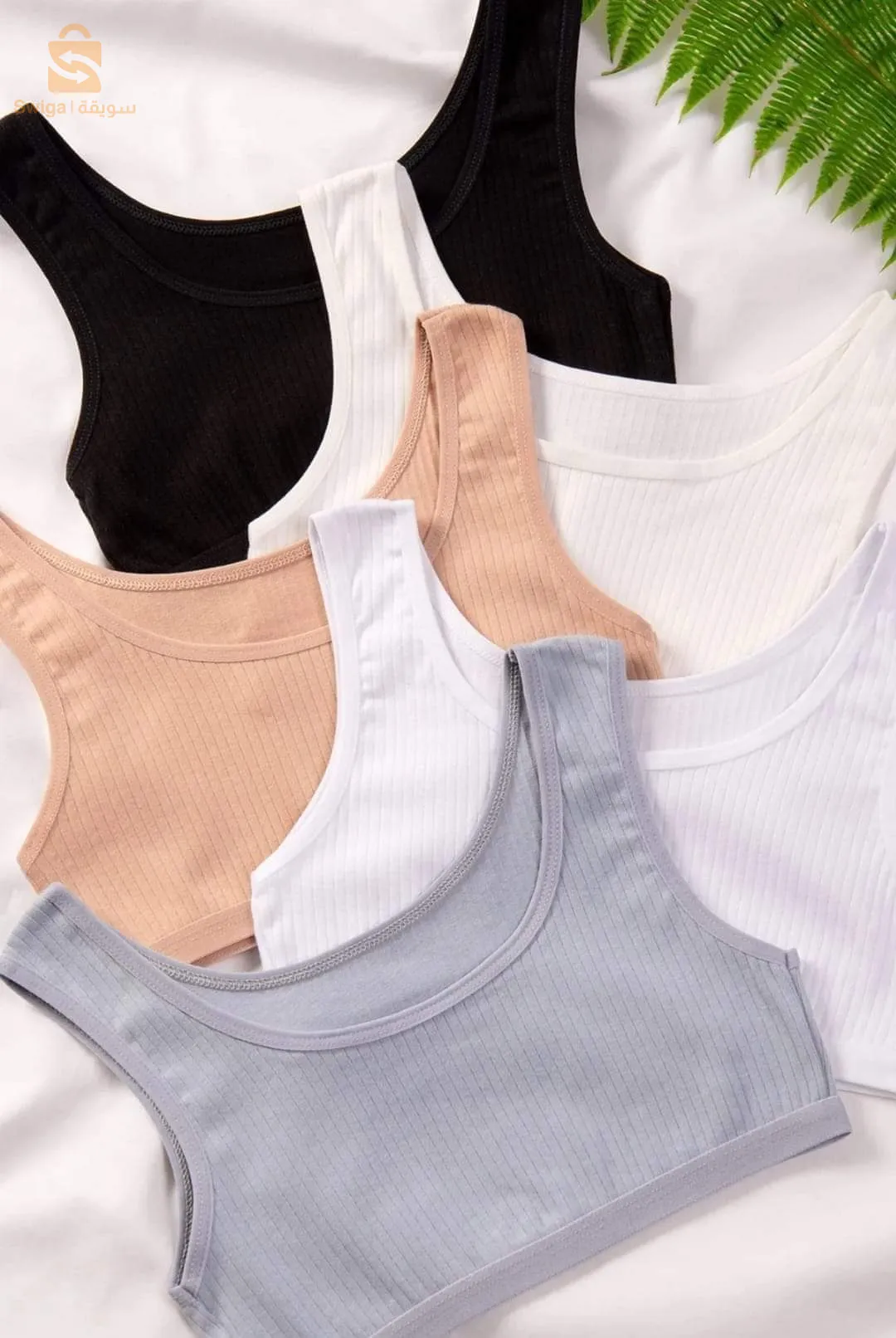 البيع بالجملة ولاية المسيلة