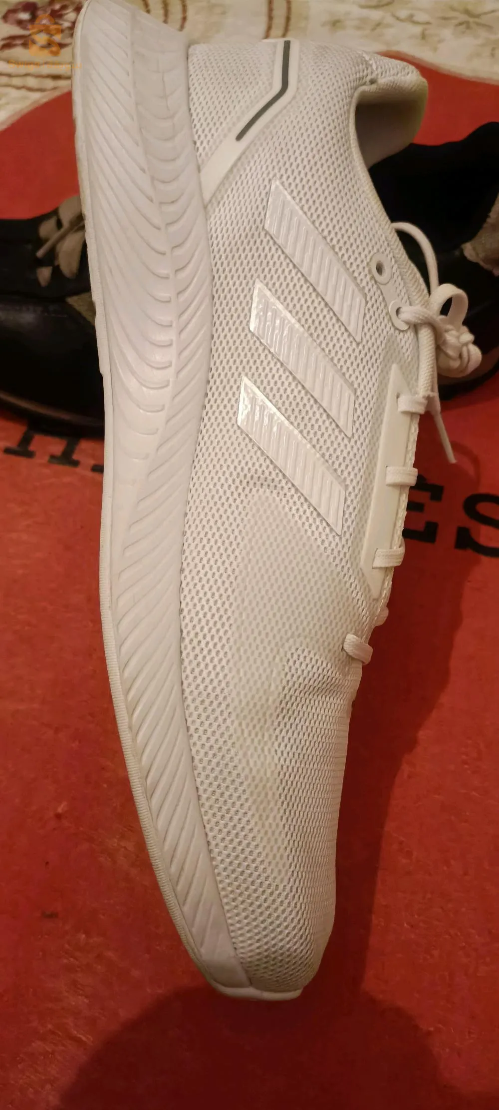 باسكات اصلية من أديداس