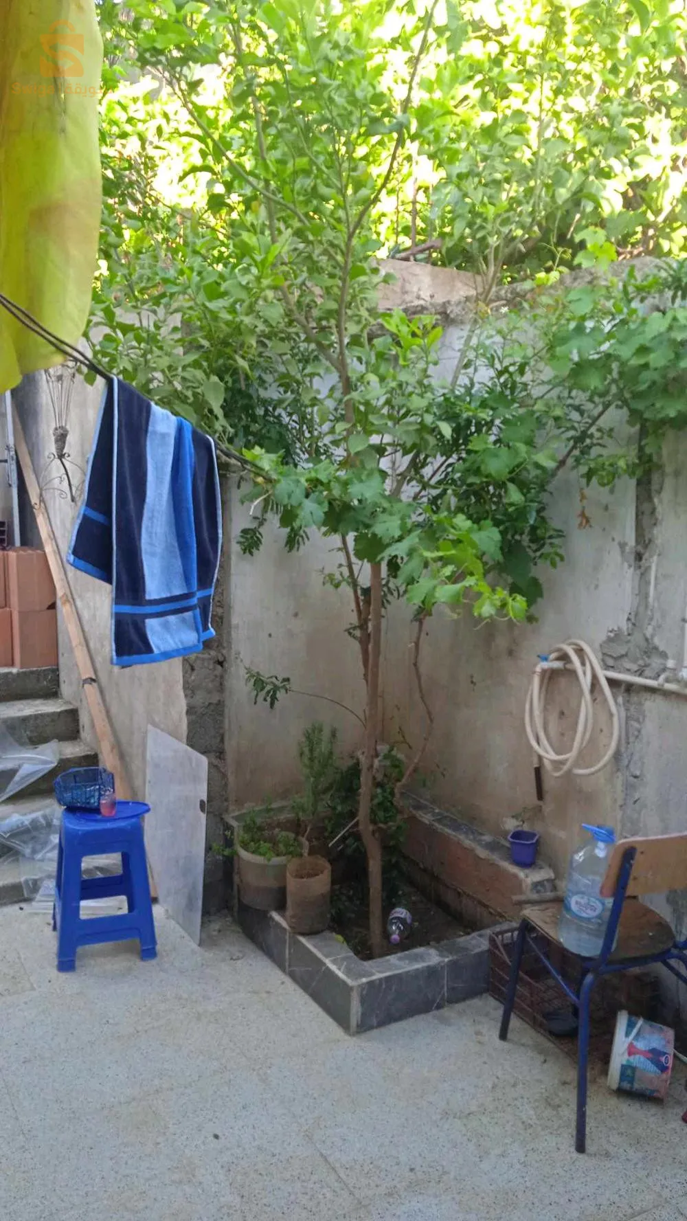 وسيط عقاري شط ولاية طارف