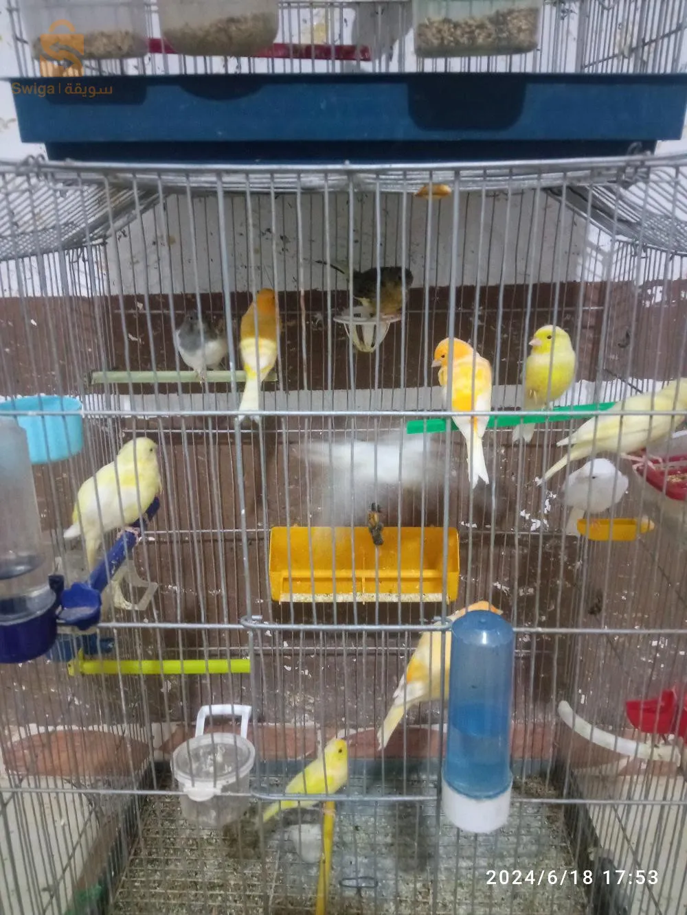 أدرار