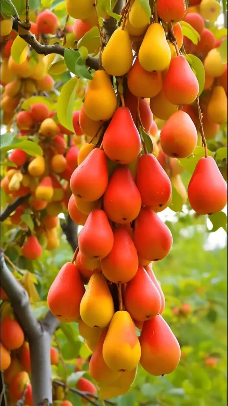 بيع شقة بوخضرة 03 البوني عنابة