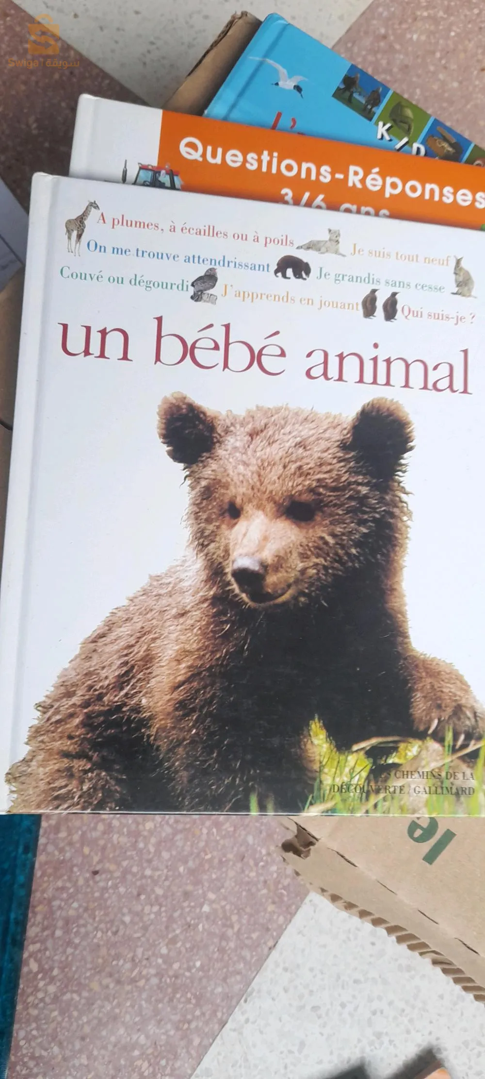 livres programmes français et romans