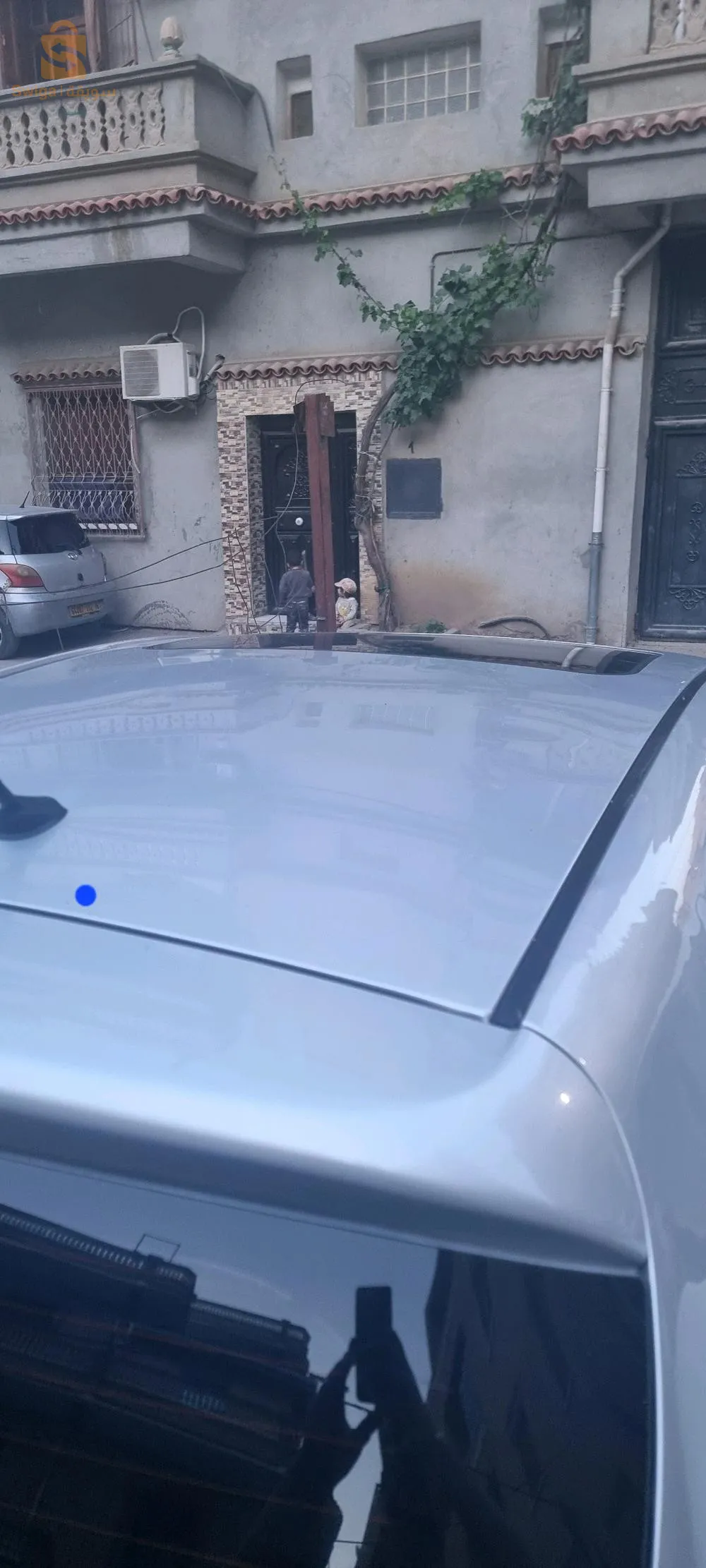 الشراربة الكاليتوس ولاية الجزائر