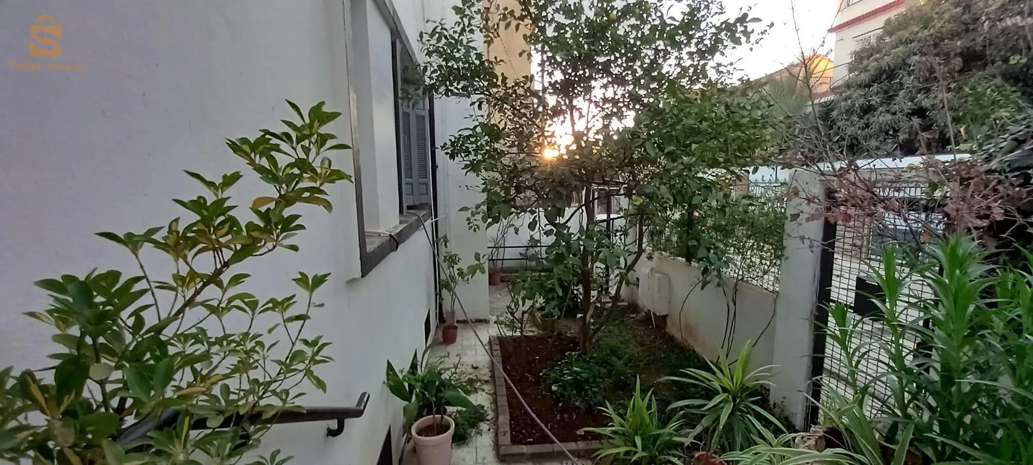 vente maison Miliana