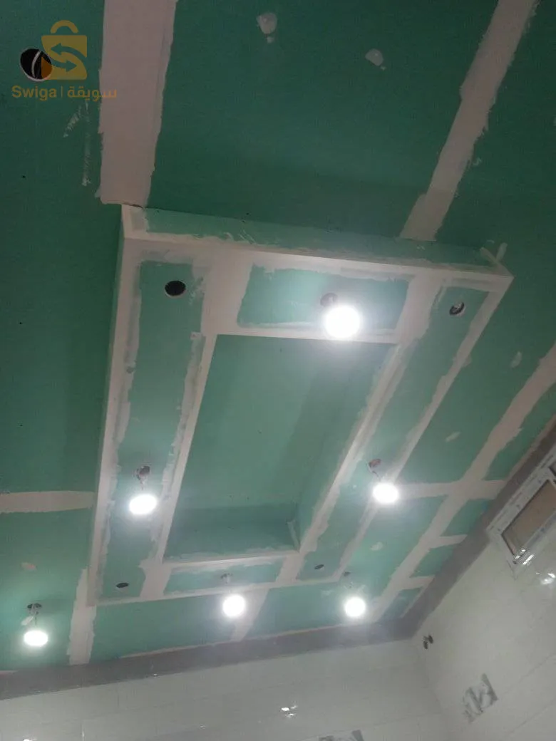 decoration placo platr