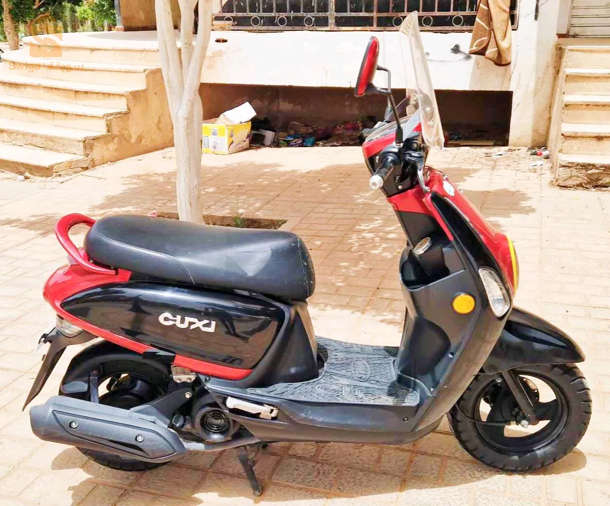 حي بن سونة الشلف