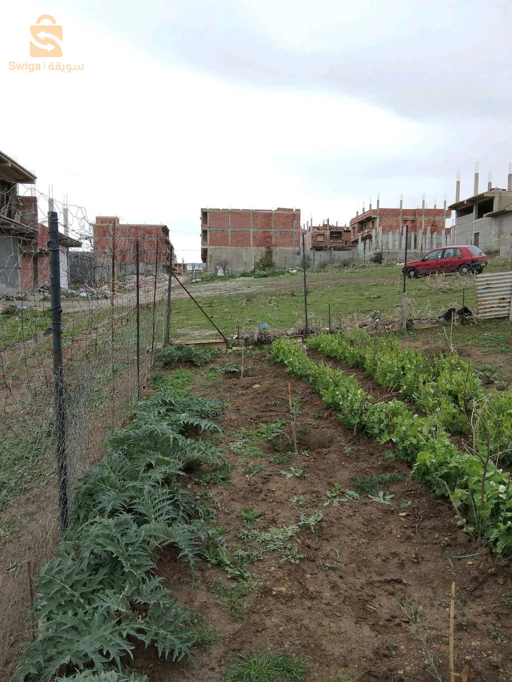 تخصص بوالشطب مشتة الڨديم بلدية وادي النجاء