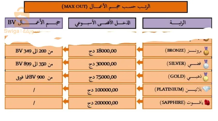 شركة نيو فيزيون انترناسيونال