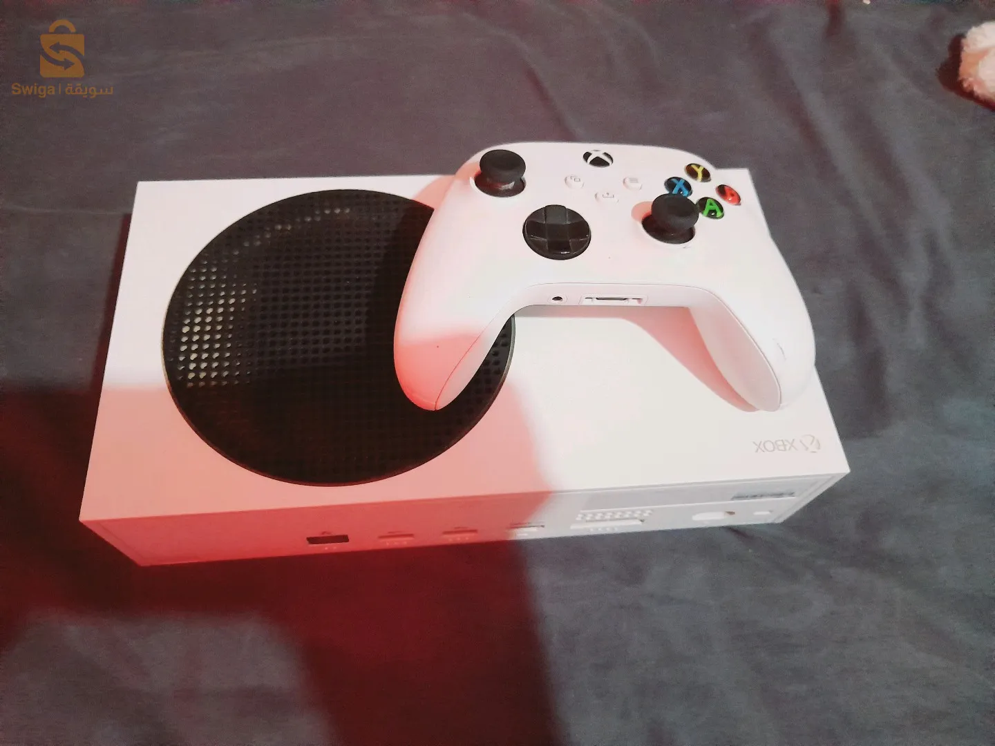 الغاسول ولاية البيض