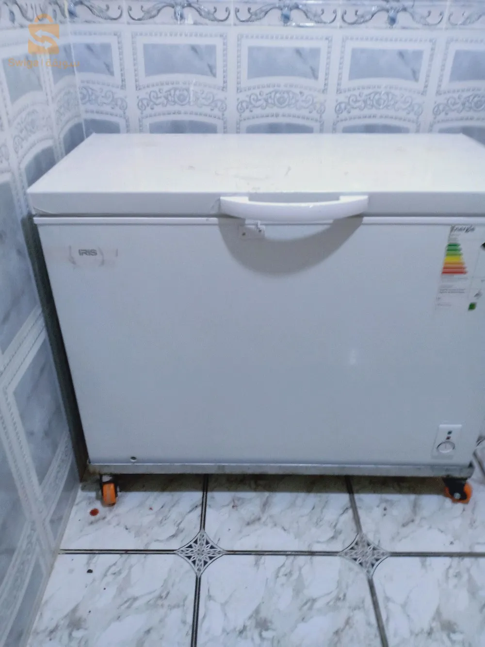 كونجيلاتور نظيف