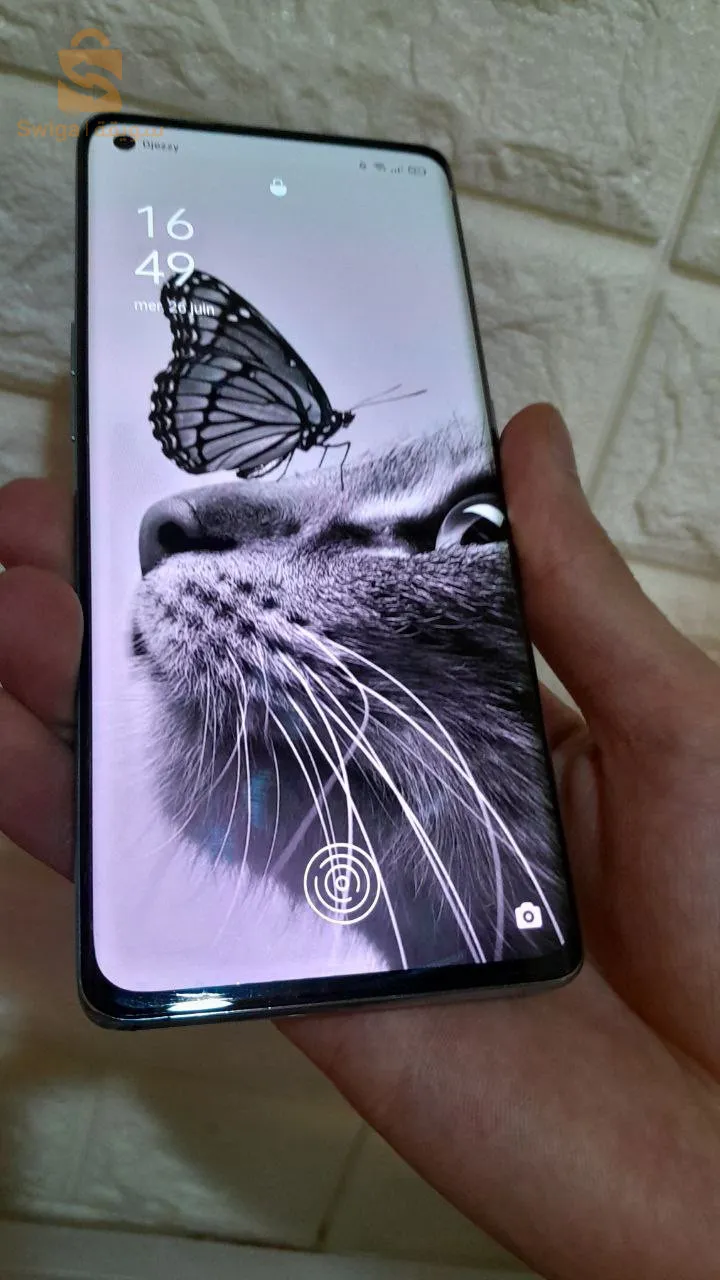 بوقطب ولاية البيض