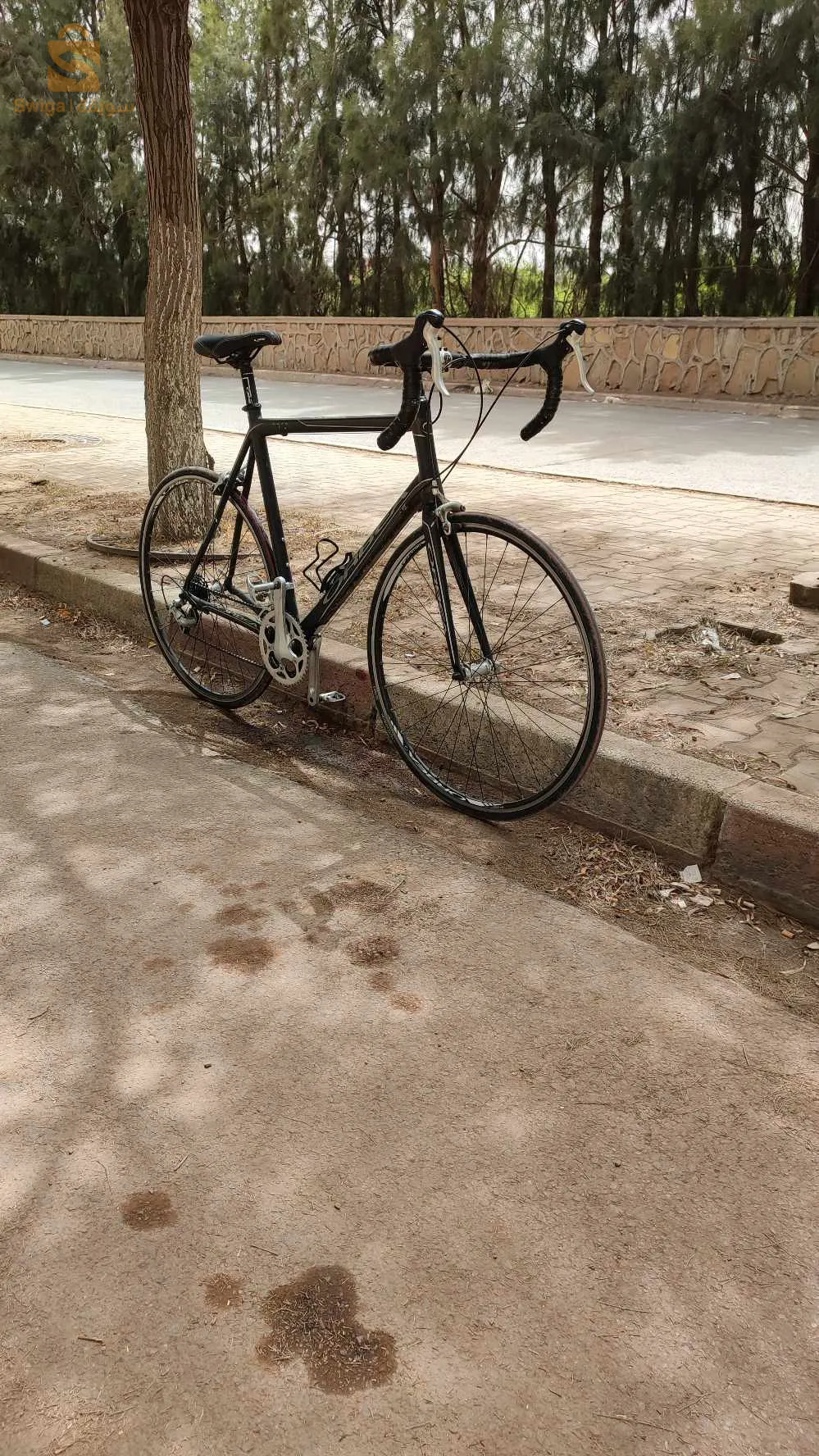 vélo cours ORBEA taille 55 56 L XL bon état fiha martial chimano Sora 9 vitesse vélo makhasha Walo lahi. arak