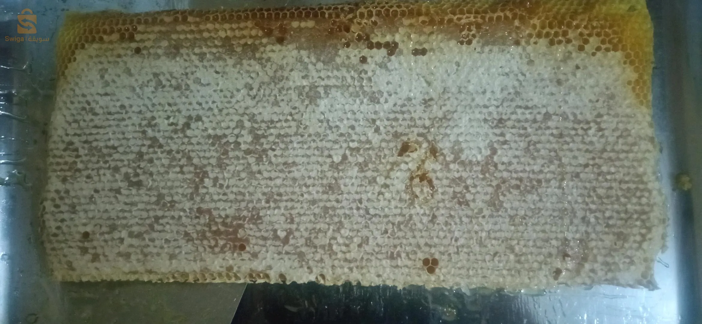 شهدة عسل السدر