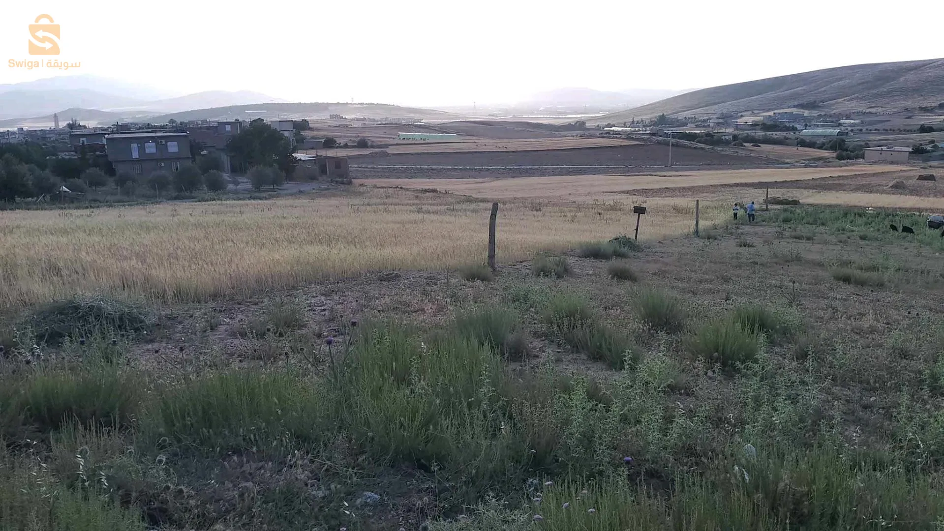 سطيف