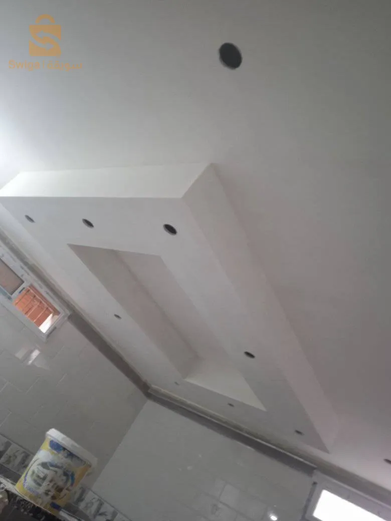 decoration placo platr