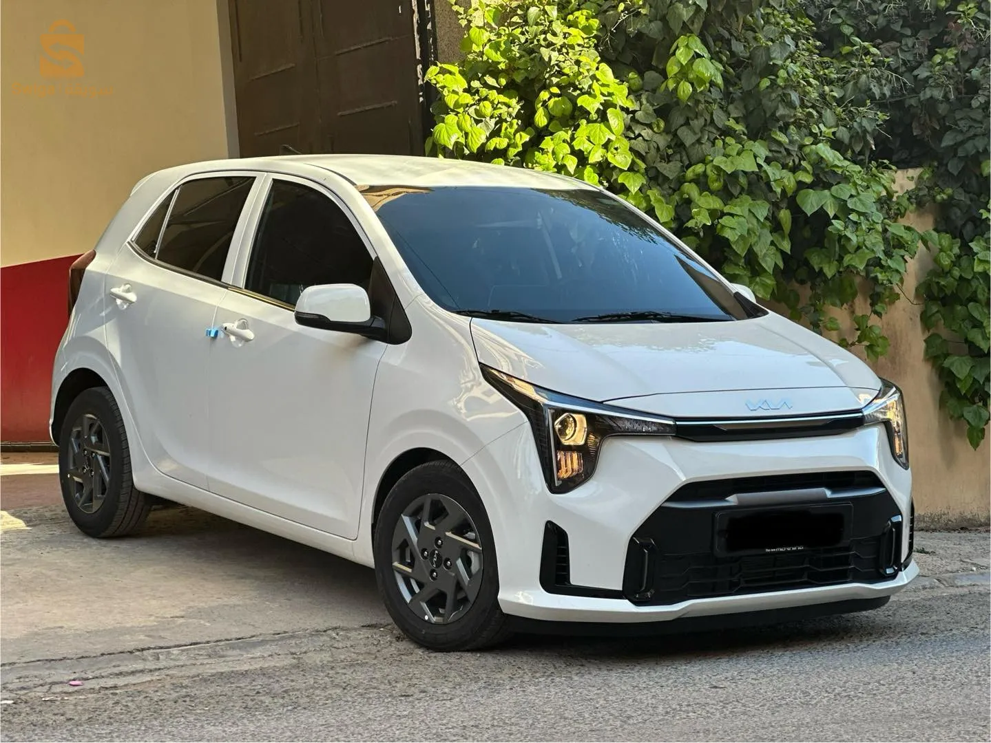 سطيف