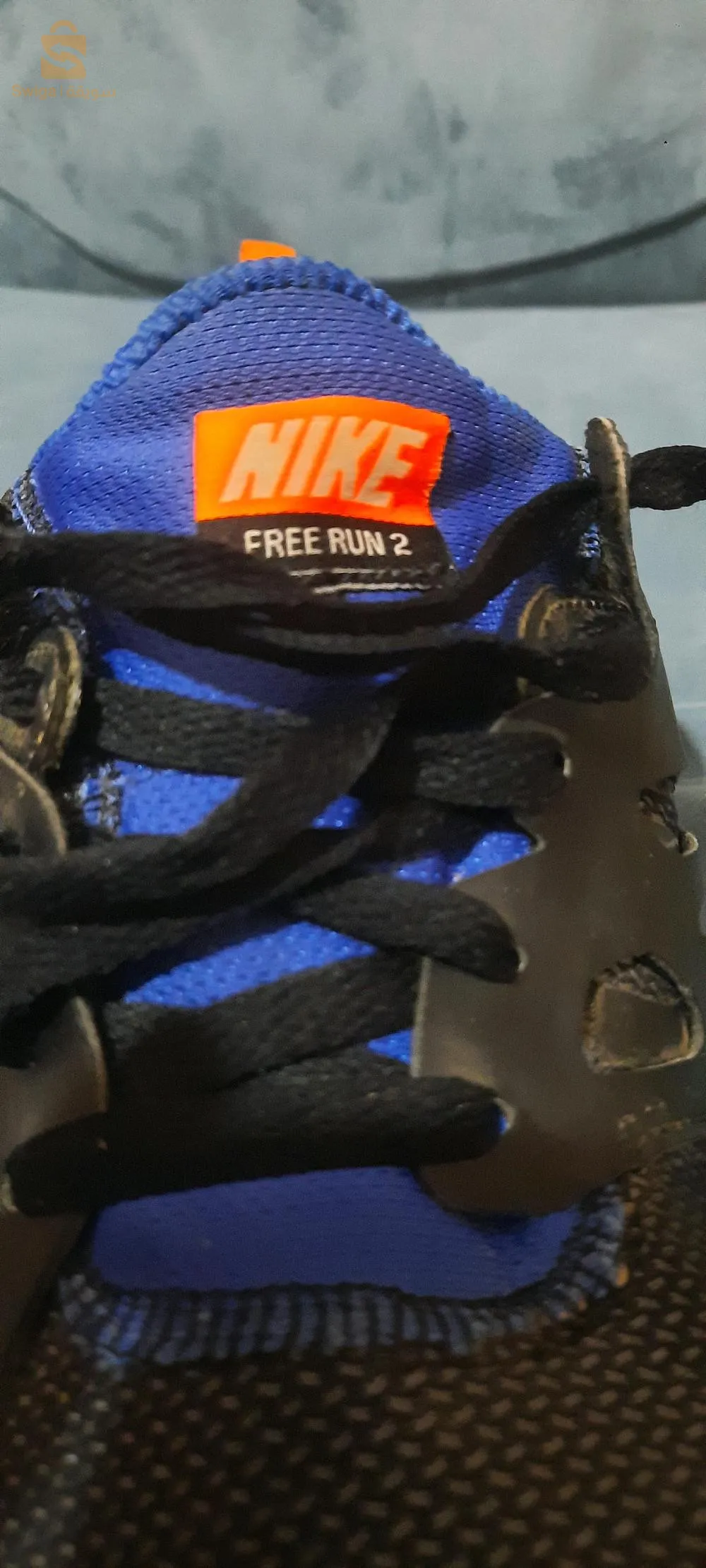 باسكات شابة حبة نقية 
original ✅️