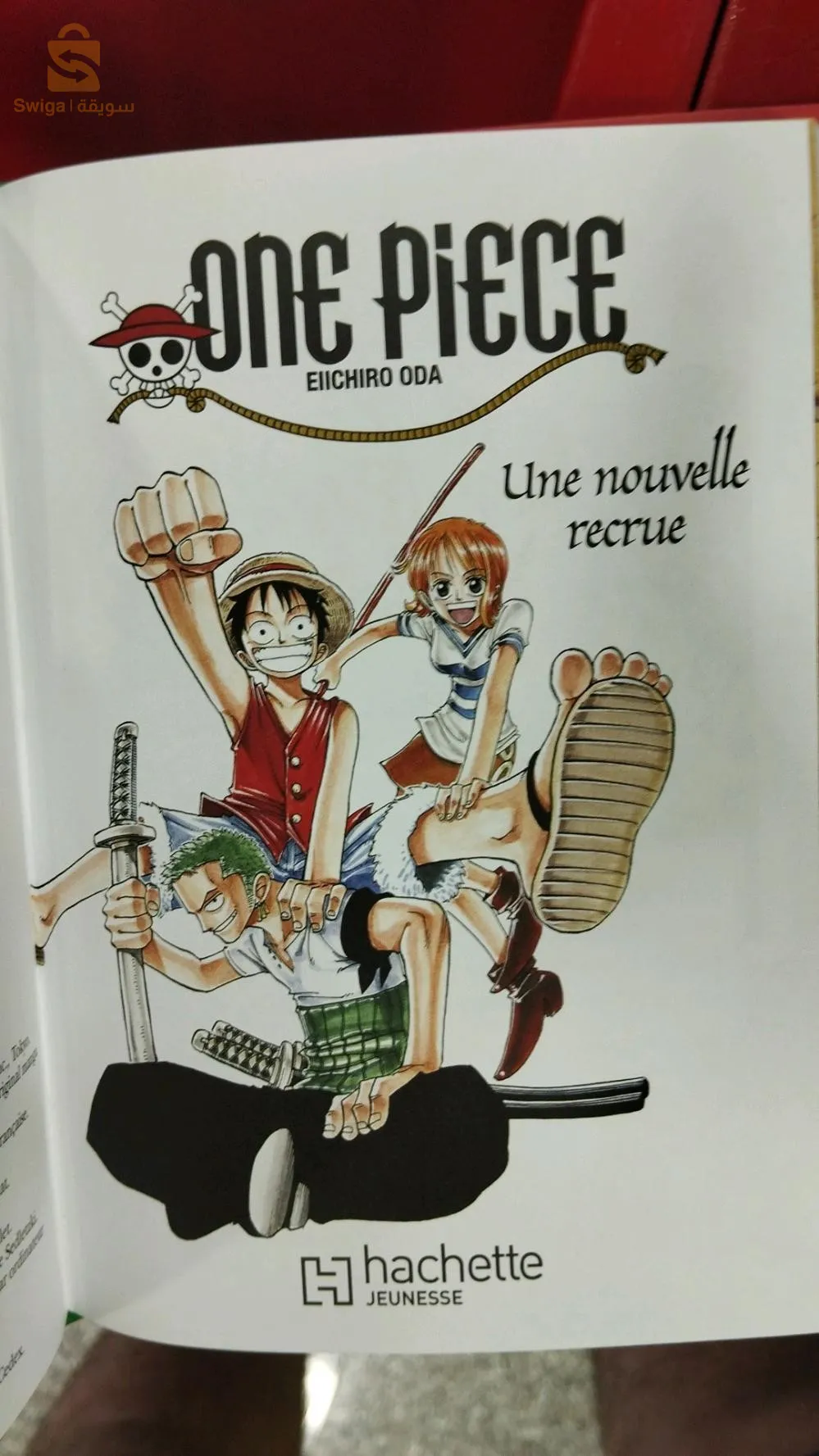 livre de l'histoire de one piece