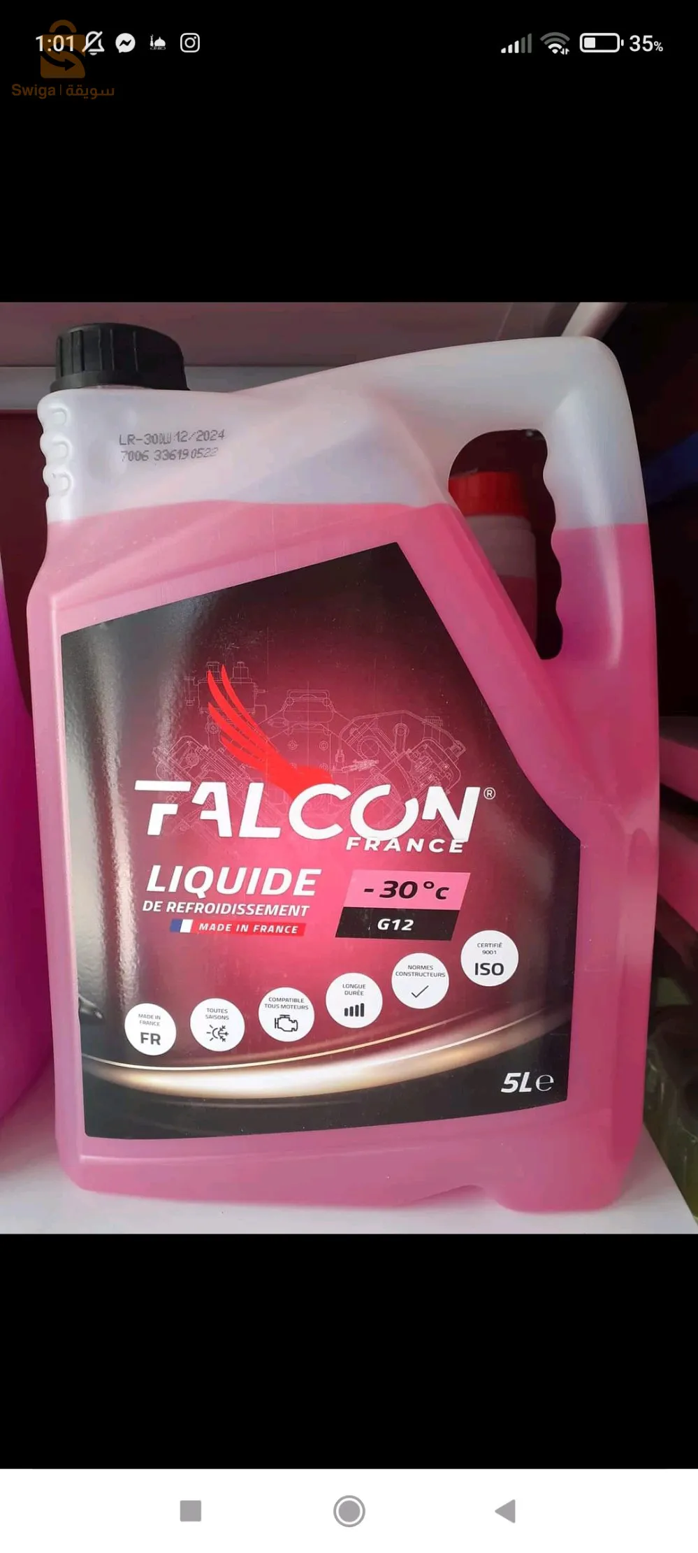 Falcon