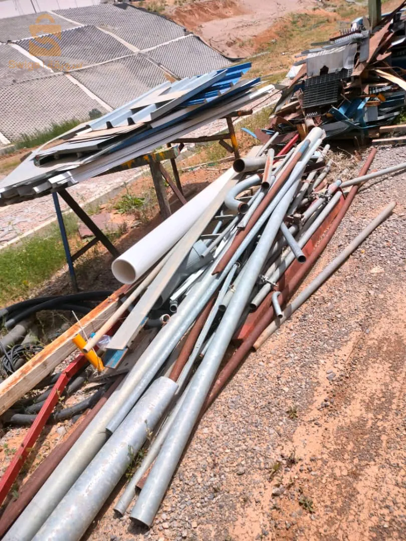 kaliptus baraki Alger