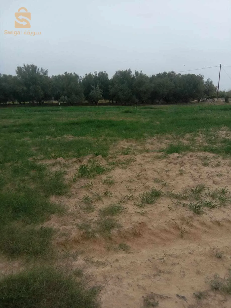 ارض فلاحية فيها 10 قطارات
