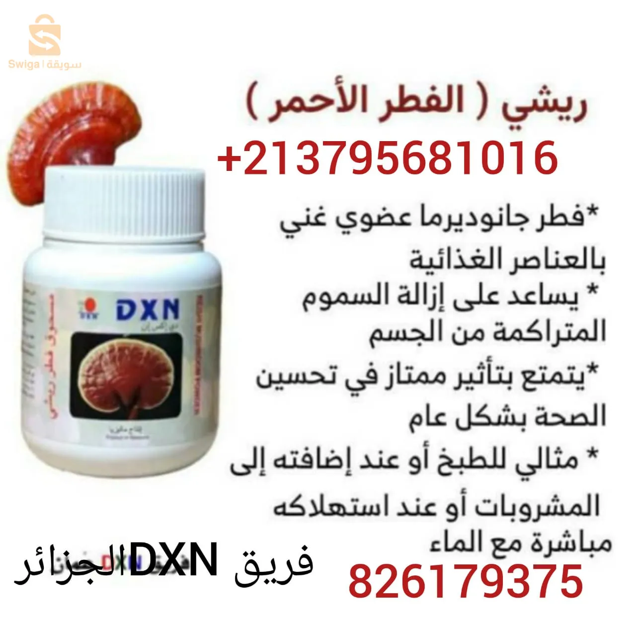 اسبايرولينا
