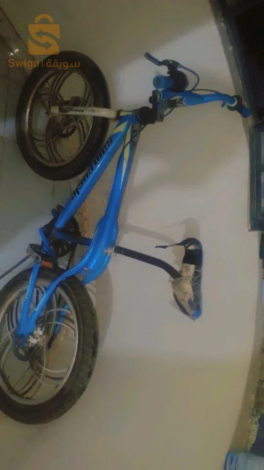 دراجة هوائية