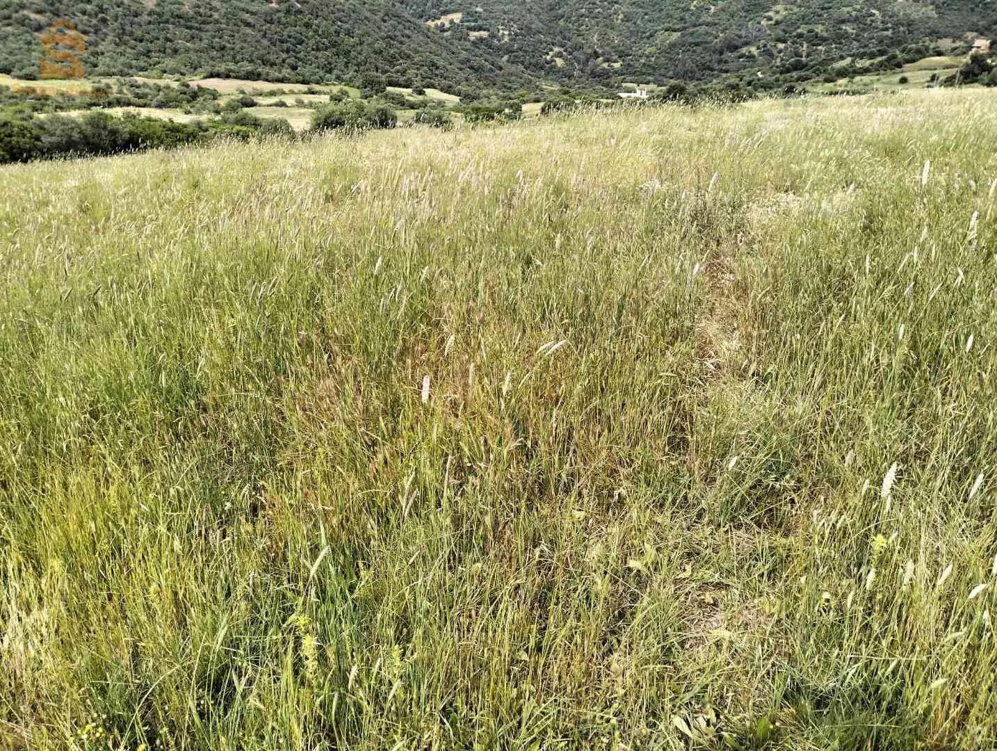 حي آنسة بلدية بوزڨزة قدارة ولاية بومرداس