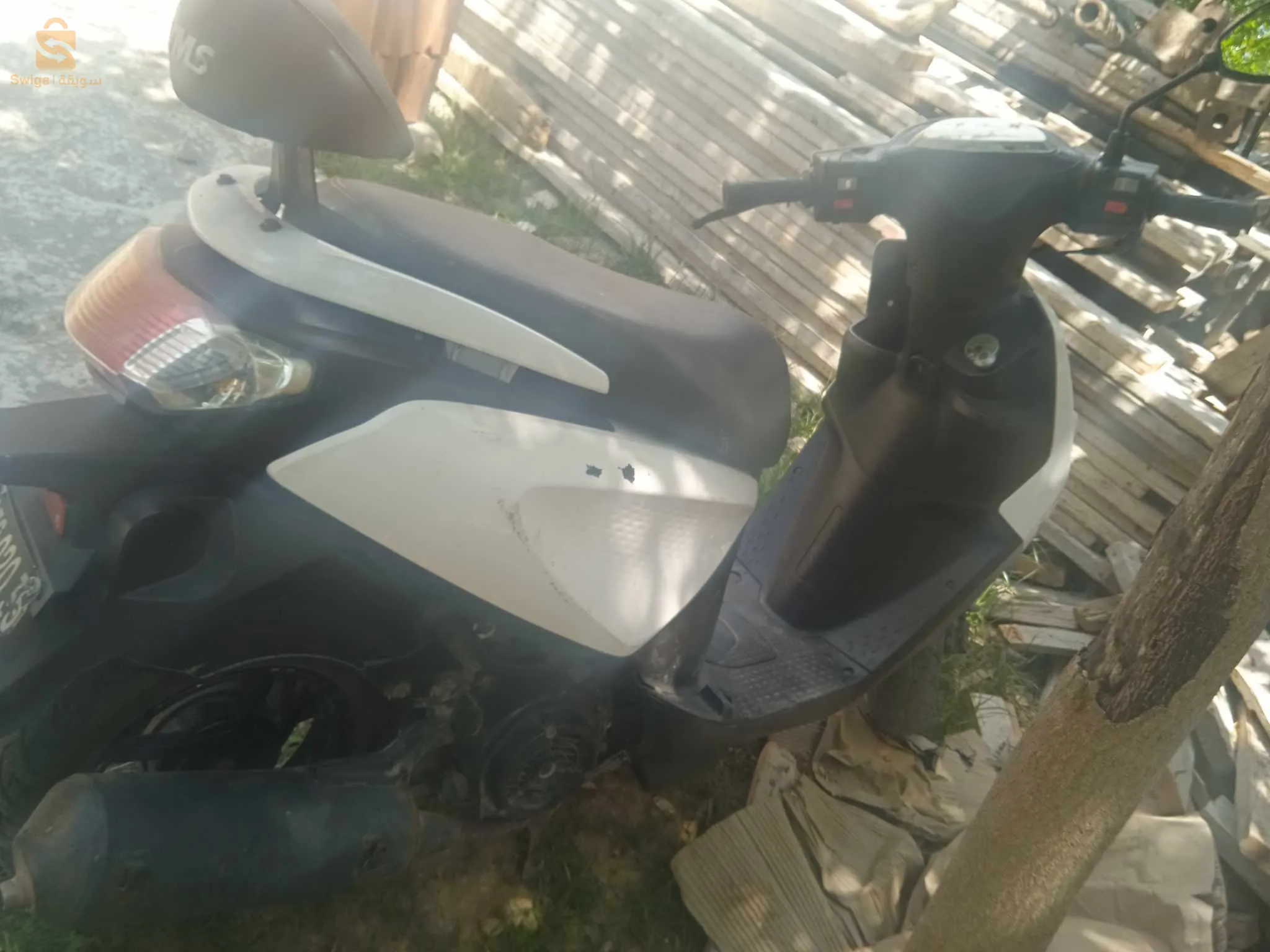 دلس بومرداس