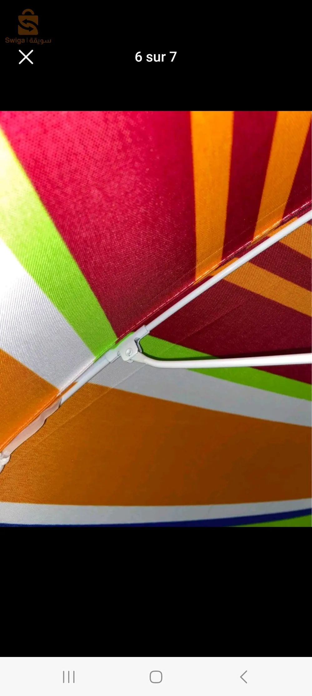 parasol مضلات البحر