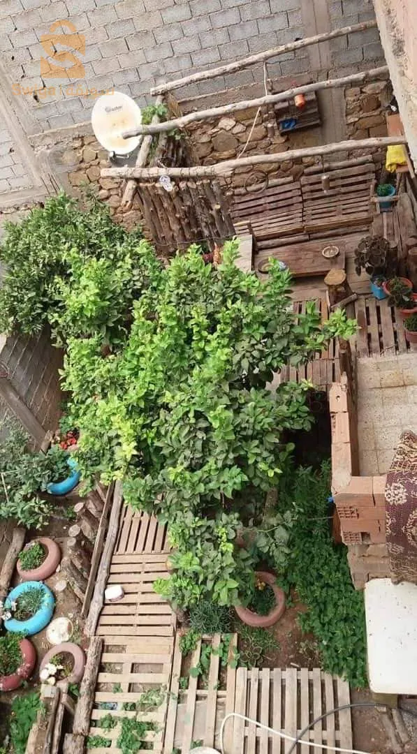 maison à vendre سبع شيوخ